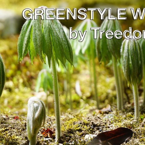 GREENSTYLE forrest – plant now!