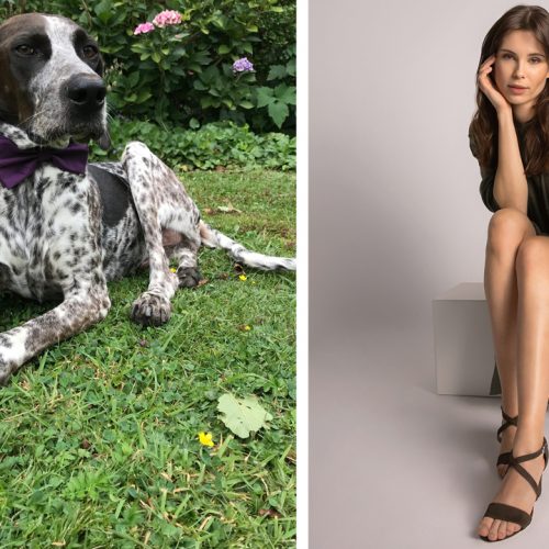 From the dump to the model: animal love for Valentine’s Day